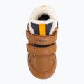 Detská obuv Geox Elthan tobacco/navy 6
