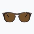 Slnečné okuliare Ray-Ban RB2210 havana/brown polarized 2