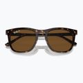 Slnečné okuliare Ray-Ban RB2210 havana/brown polarized 3