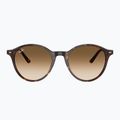 Slnečné okuliare Ray-Ban Bernard havana/brown gradient 2