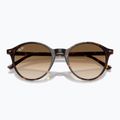 Slnečné okuliare Ray-Ban Bernard havana/brown gradient 3