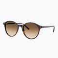 Slnečné okuliare Ray-Ban Bernard havana/brown gradient 4