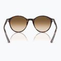 Slnečné okuliare Ray-Ban Bernard havana/brown gradient 5