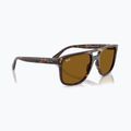 Slnečné okuliare Ray-Ban RB2213 havana/brown b-15