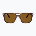 Slnečné okuliare Ray-Ban RB2213 havana/brown b-15 2