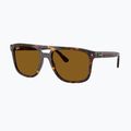 Slnečné okuliare Ray-Ban RB2213 havana/brown b-15 4