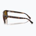 Slnečné okuliare Ray-Ban RB2213 havana/brown b-15 6