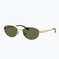 Slnečné okuliare Ray-Ban RB3774D arista gold/dark green polarized 4