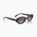 Slnečné okuliare Ray-Ban RB2223 havana/gradient grey