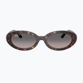 Slnečné okuliare Ray-Ban RB2223 havana/gradient grey 2