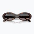 Slnečné okuliare Ray-Ban RB2223 havana/gradient grey 3
