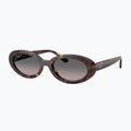 Slnečné okuliare Ray-Ban RB2223 havana/gradient grey 4