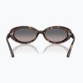 Slnečné okuliare Ray-Ban RB2223 havana/gradient grey 5