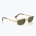 Slnečné okuliare Ray-Ban RB3927 By A$Ap Rocky