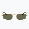 Slnečné okuliare Ray-Ban RB3927 By A$Ap Rocky 2