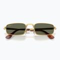Slnečné okuliare Ray-Ban RB3927 By A$Ap Rocky 3