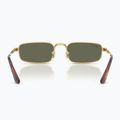 Slnečné okuliare Ray-Ban RB3927 By A$Ap Rocky 5