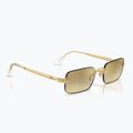 Slnečné okuliare Ray-Ban RB3928 By A$Ap Rocky arista gold/brown gold