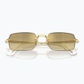Slnečné okuliare Ray-Ban RB3928 By A$Ap Rocky arista gold/brown gold 3