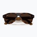 Okuliare s kamerou Ray-Ban Meta Aviator havana/trs brown 9