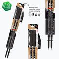 Trekingové palice Fizan Compact MS black 3