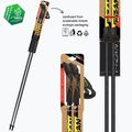 Nordic walking palice Fizan Tekno Race yellow 3