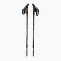 Nordic walking palice Fizan Speed ​​black 5