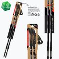 Nordic walking palice Fizan Speed ​​black 3
