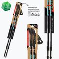Nordic walking palice Fizan Speed ​​ocean blue 3