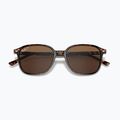 Slnečné okuliare Ray-Ban Leonard tortoise/brown polarized 3