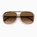 Slnečné okuliare Ray-Ban Bill havana brown/transparent brown 3