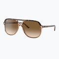 Slnečné okuliare Ray-Ban Bill havana brown/transparent brown 4