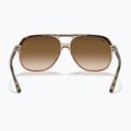 Slnečné okuliare Ray-Ban Bill havana brown/transparent brown 5