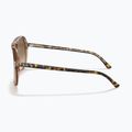 Slnečné okuliare Ray-Ban Bill havana brown/transparent brown 7
