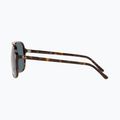 Slnečné okuliare Ray-Ban Bill havana/blue 7