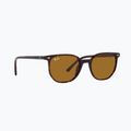 Slnečné okuliare Ray-Ban Elliot havana brown/black polarized