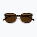 Slnečné okuliare Ray-Ban Elliot havana brown/black polarized 3