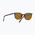 Slnečné okuliare Ray-Ban Elliot havana brown/black polarized 6