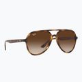 Slnečné okuliare Ray-Ban RB4376 havana/brown gradient