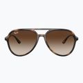 Slnečné okuliare Ray-Ban RB4376 havana/brown gradient 2