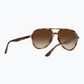 Slnečné okuliare Ray-Ban RB4376 havana/brown gradient 3
