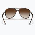 Slnečné okuliare Ray-Ban RB4376 havana/brown gradient 5
