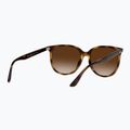 Slnečné okuliare Ray-Ban RB4378 havana/brown gradient