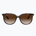 Slnečné okuliare Ray-Ban RB4378 havana/brown gradient 2