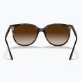 Slnečné okuliare Ray-Ban RB4378 havana/brown gradient 3