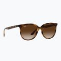Slnečné okuliare Ray-Ban RB4378 havana/brown gradient 5