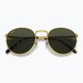 Slnečné okuliare Ray-Ban New Round gold/green 3