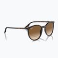 Slnečné okuliare Ray-Ban RB2204 havana/light brown