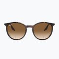 Slnečné okuliare Ray-Ban RB2204 havana/light brown 2
