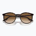 Slnečné okuliare Ray-Ban RB2204 havana/light brown 3